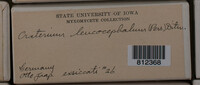 Image Associated With the Occurence